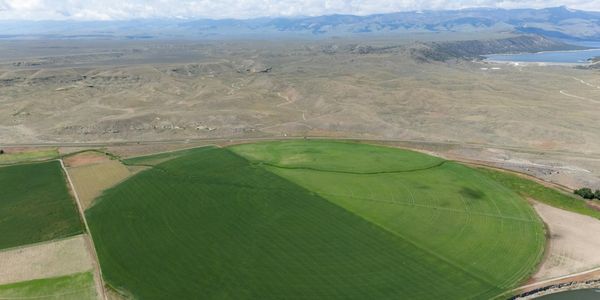 Peaceful landscape view from a window next to a practice area.
